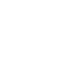Custom Capability Icon